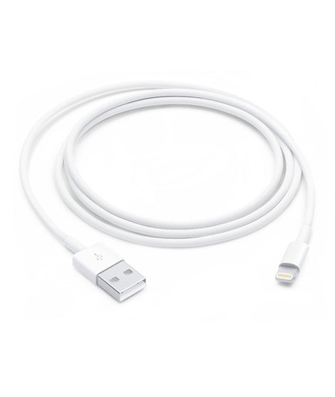 Apple Lightning to USB Cable